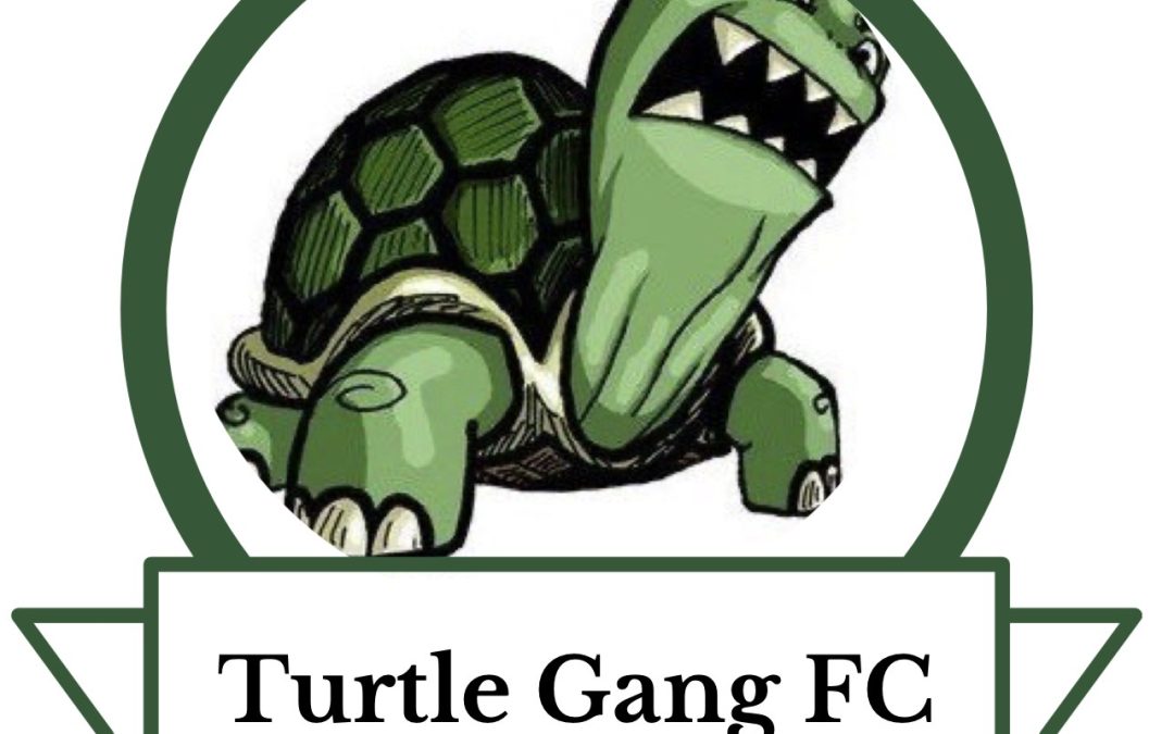Turtle Gang FC